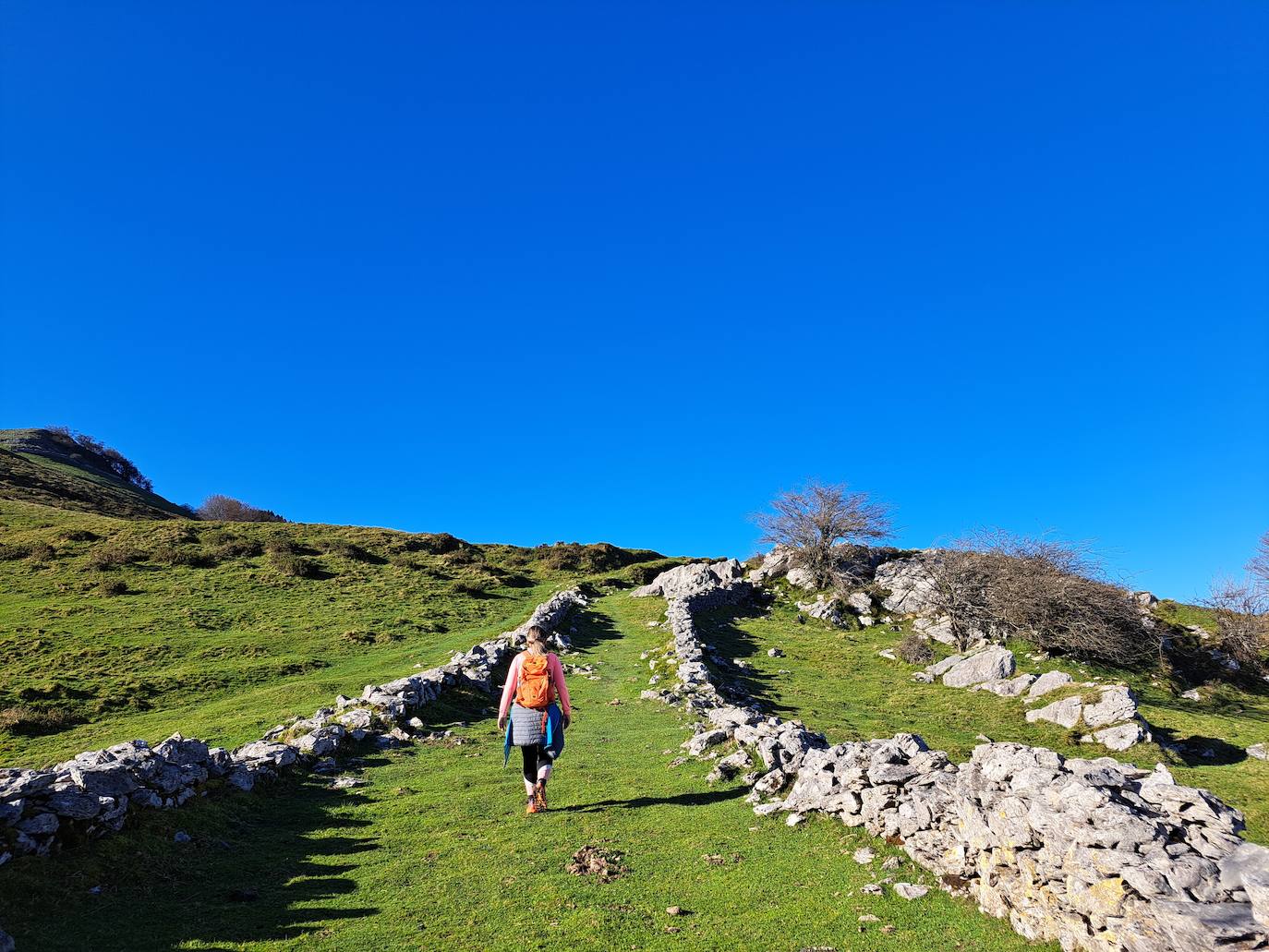 Las mejores imágenes de la excursión a Gazume