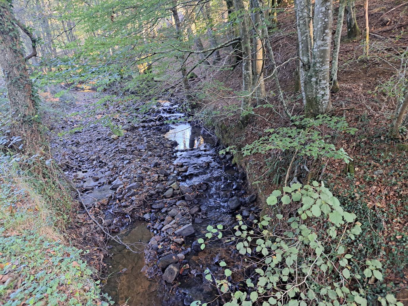 Urepel, el monte silencioso