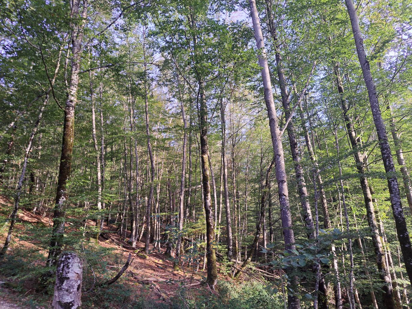 Urepel, el monte silencioso