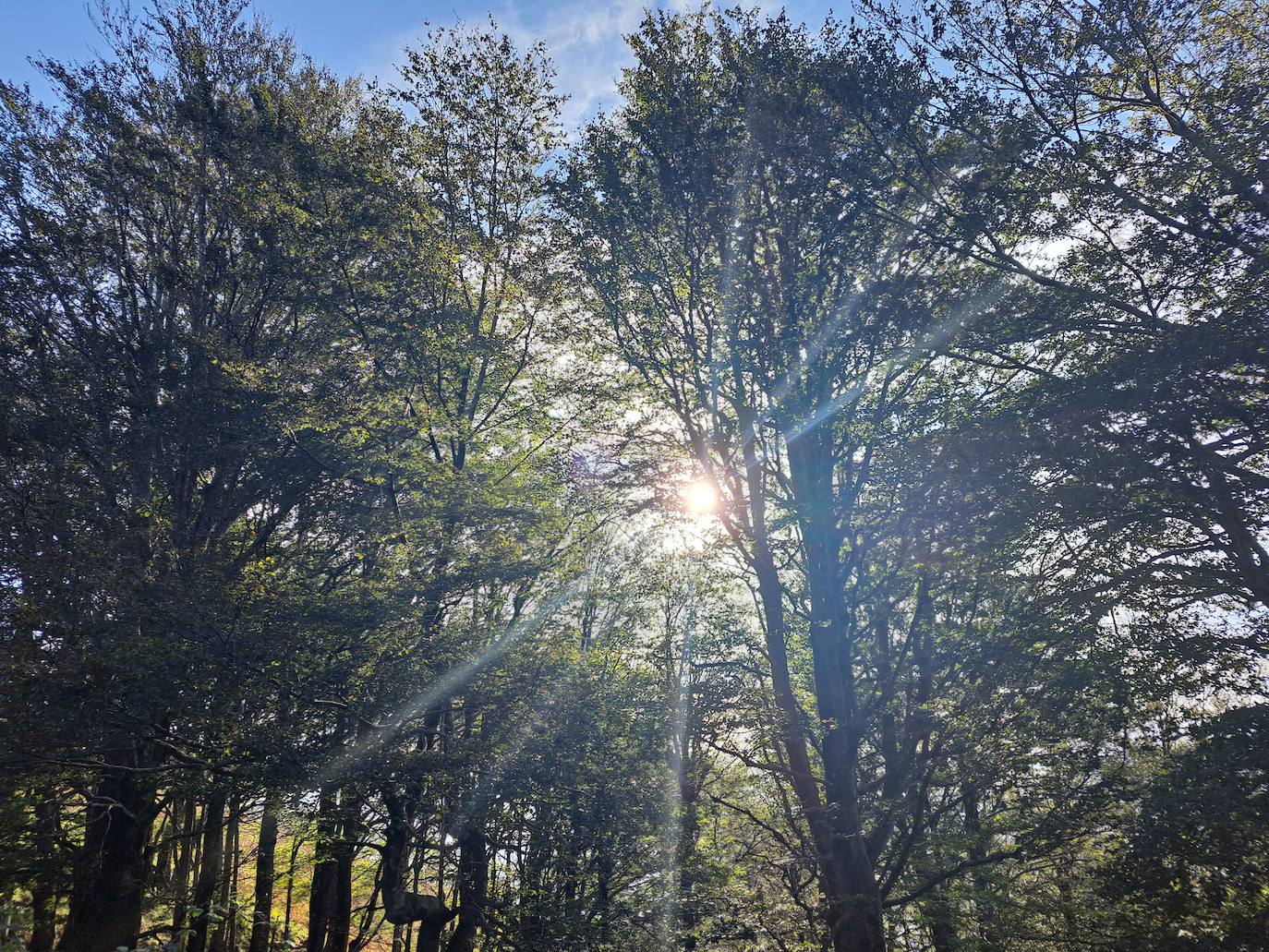 Urepel, el monte silencioso