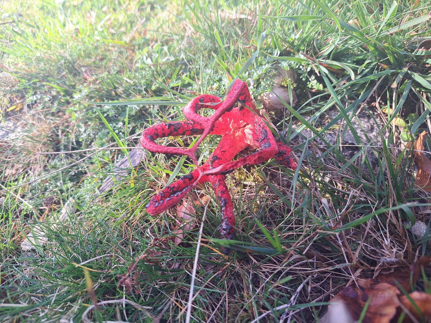 Urepel, el monte silencioso