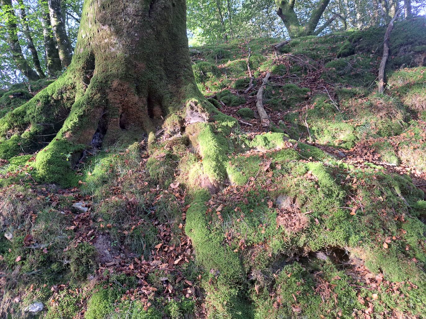 Urepel, el monte silencioso