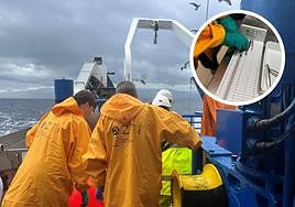 Científicos de Azti haciendo las mediciones de anchoa en el golfo de Bizkaia.