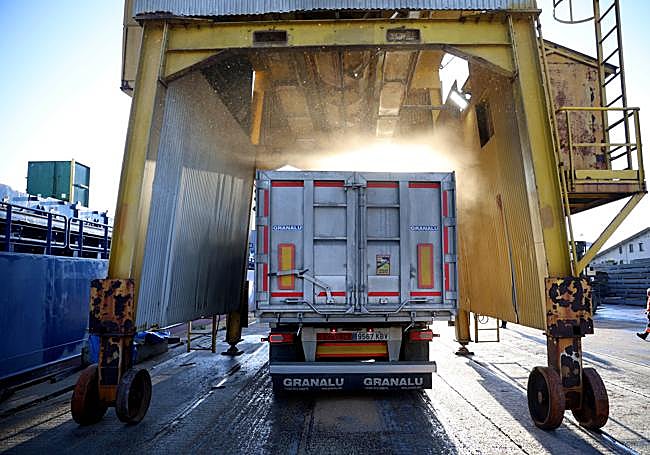 Un camión aguarda bajo una enorme tolva en la que los estibadores han descargado trigo.
