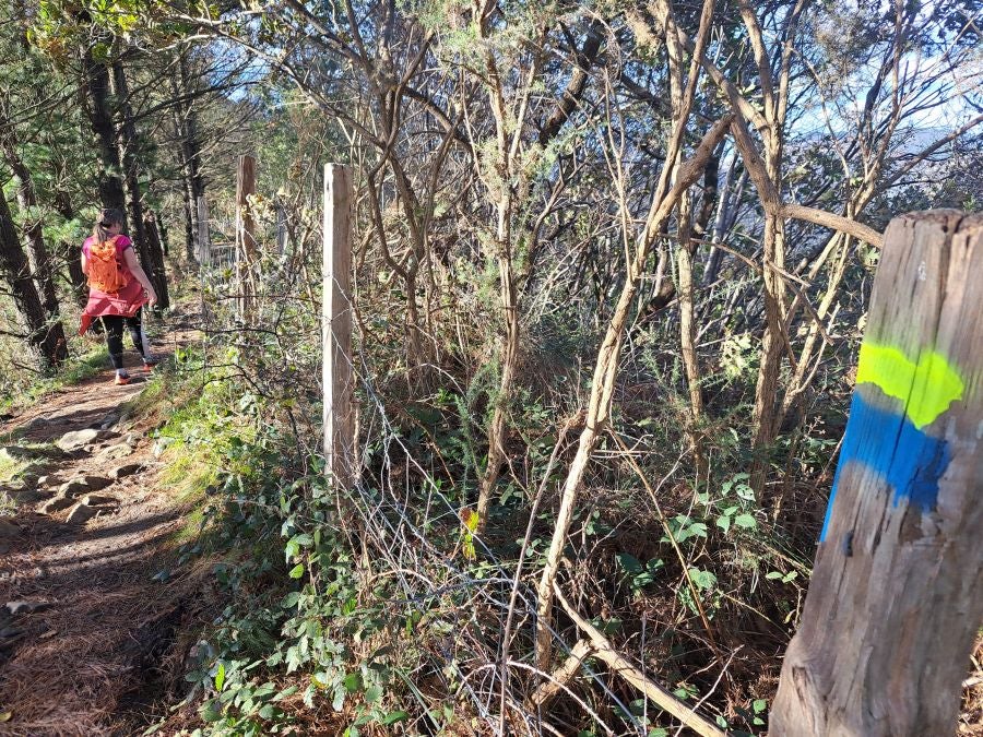 Desde Urnieta a Buruntza