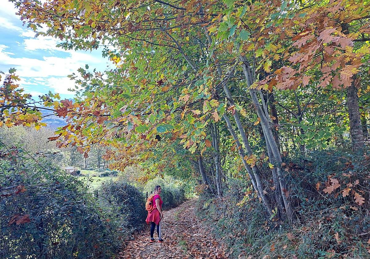 Imagen principal - De camino a la cima de Buruntza nos encontramos con bonitos rincones bañados de otoño. El buzón. Poste e ikurriña colocadas en la cima del monte.