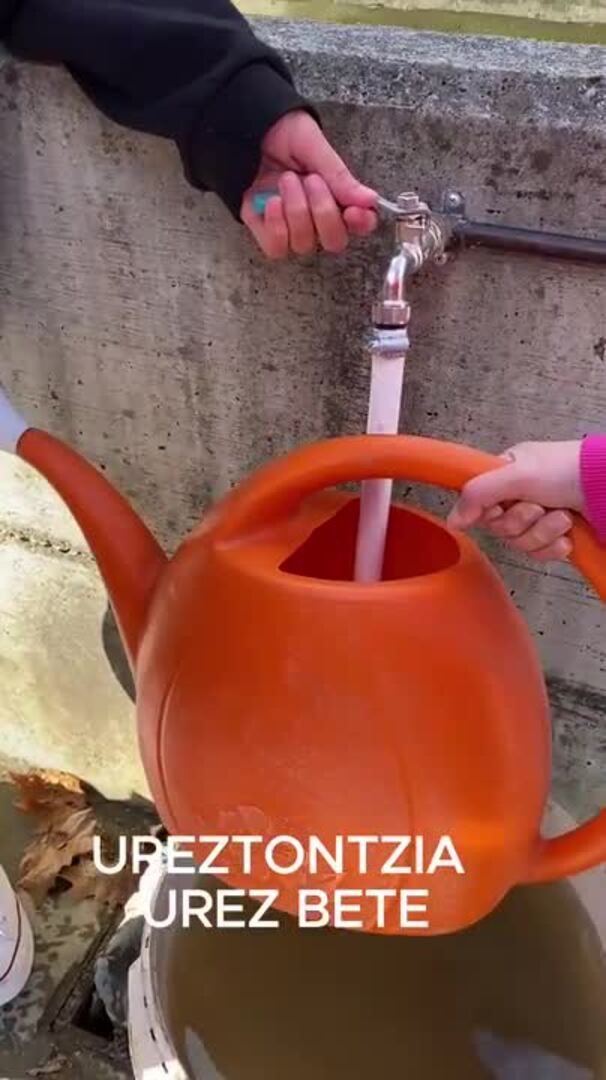 Egun bat Belaskoeneako baratzean