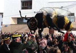 Zaireko 'Goliathus' eta Arbizuko erleak Usurbilen