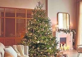 Árbol frondoso y natural.