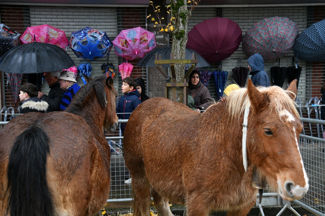 Feria de Santa Lucía en Urretxu y Zumarraga