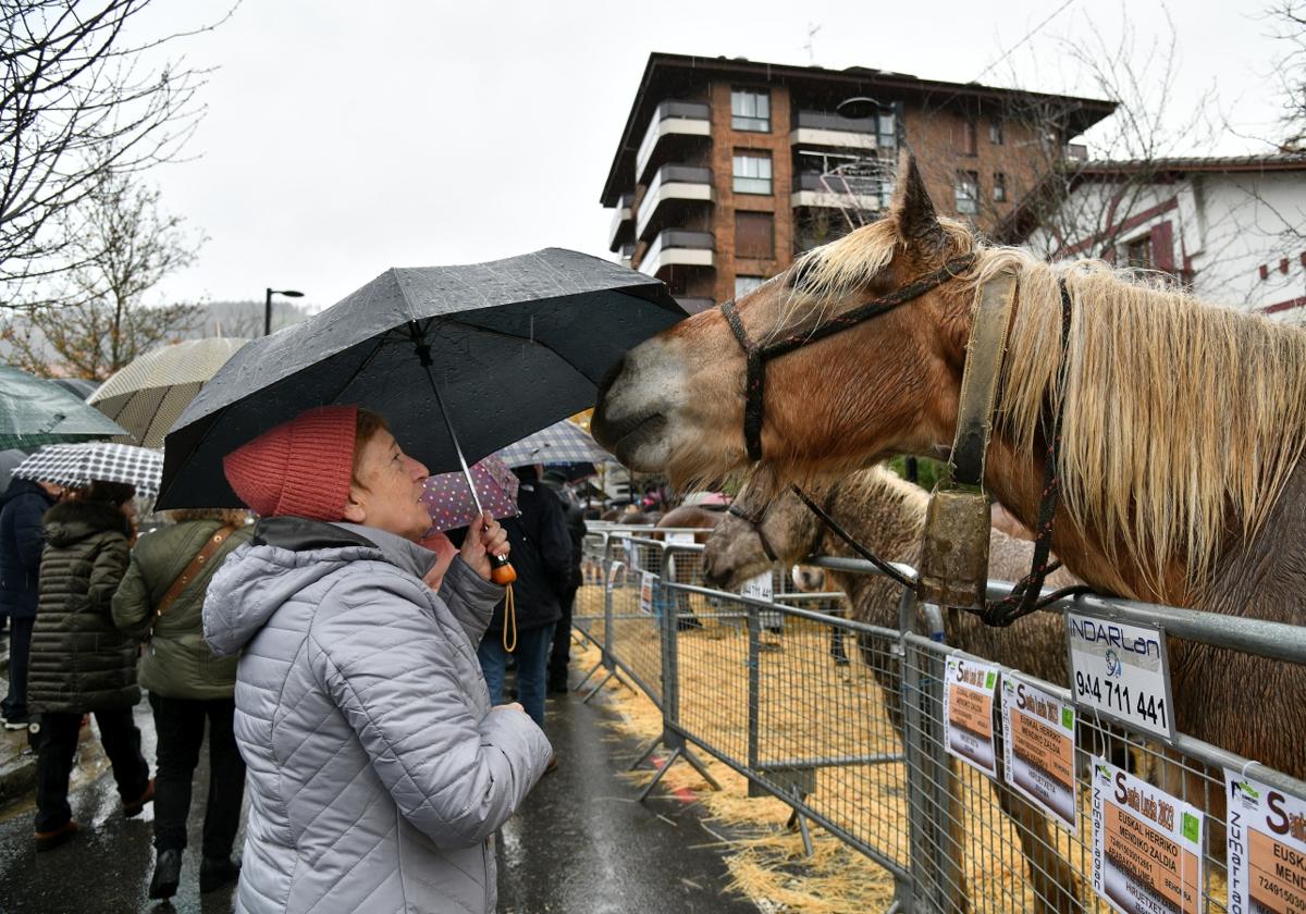 Feria de Santa Lucía en Urretxu y Zumarraga