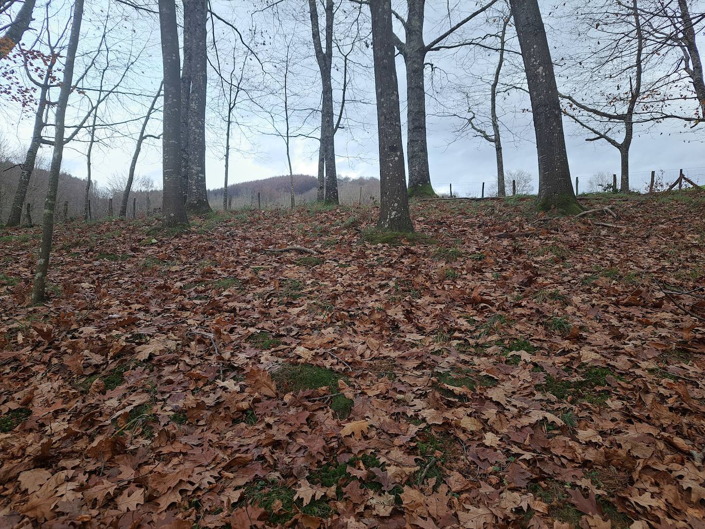 Arburu, una cima sobre Berastegi