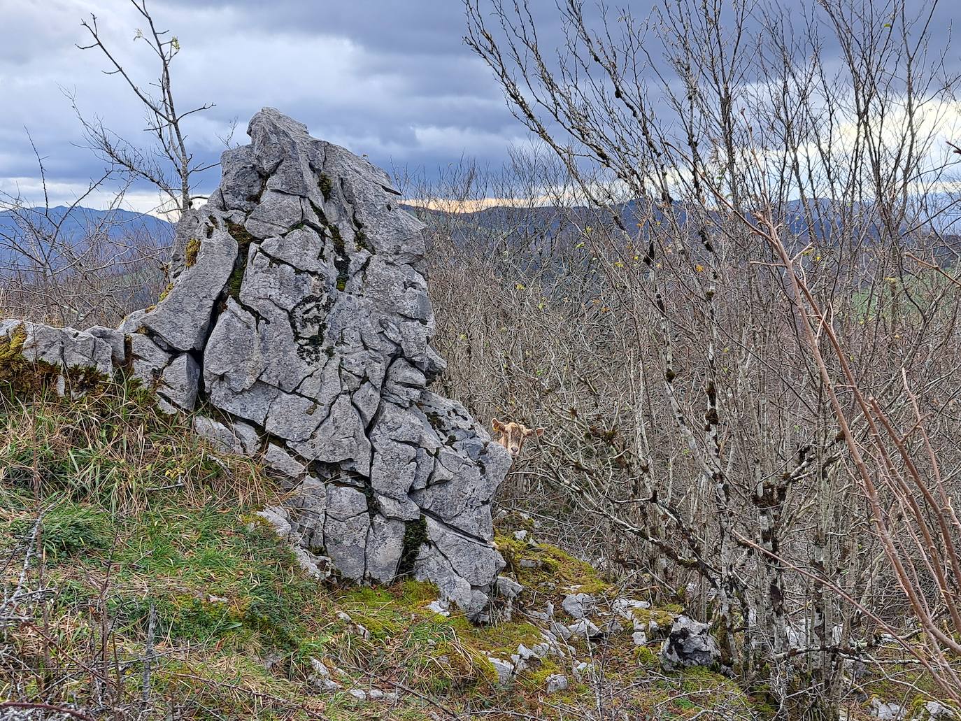 Arburu, una cima sobre Berastegi