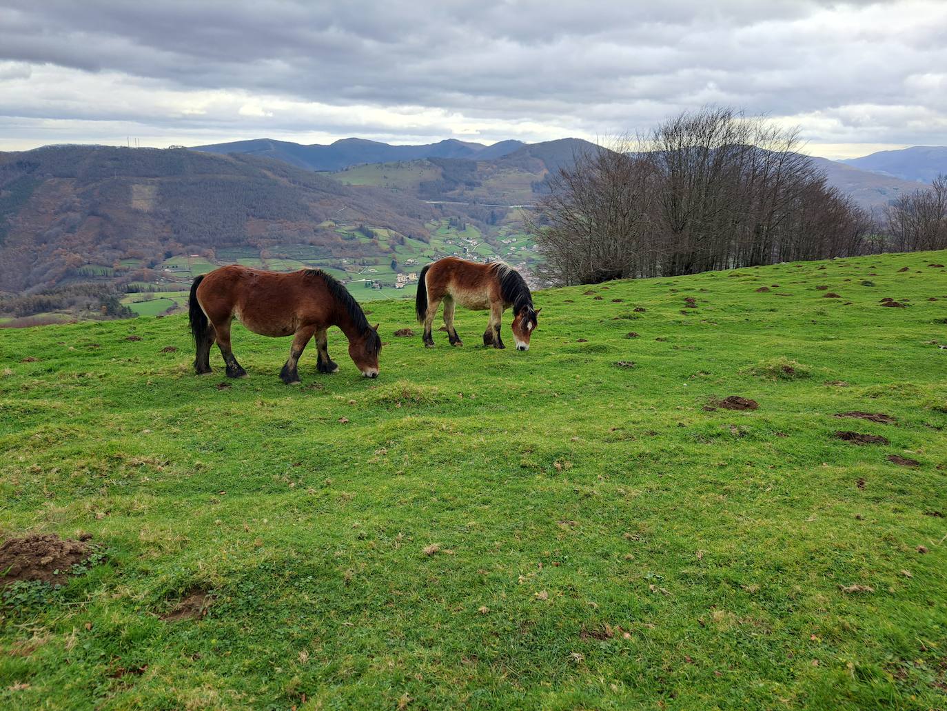 Arburu, una cima sobre Berastegi