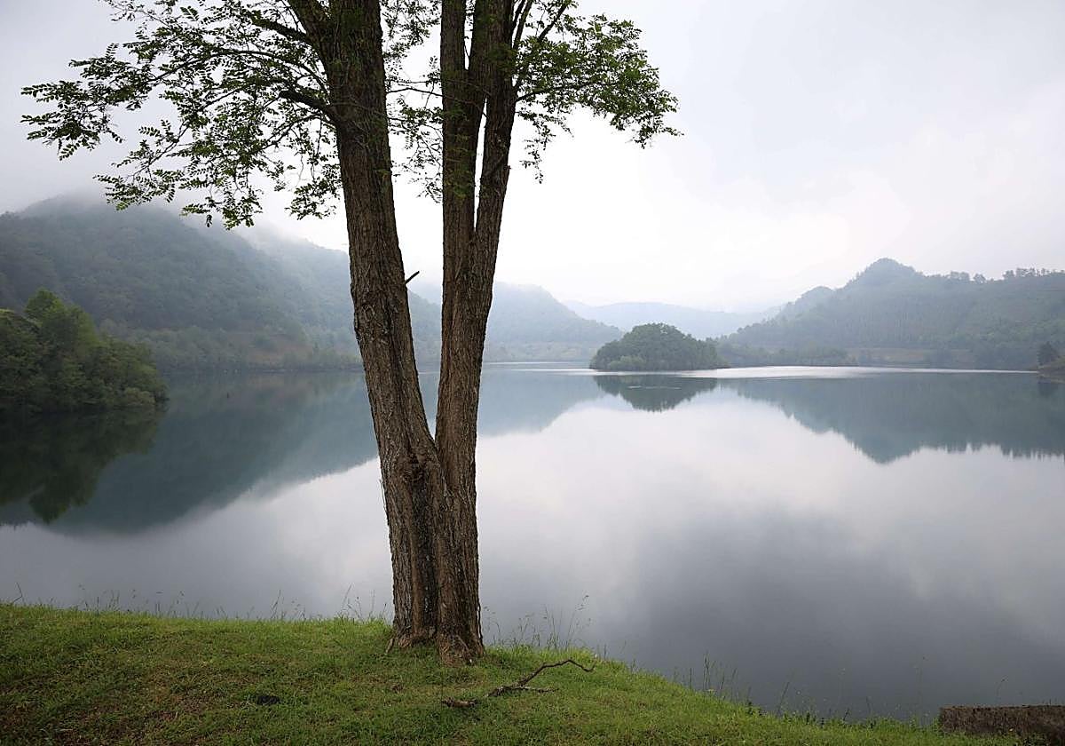 El Añarbe ha tenido que desembalsar una cuarta parte del pantano.