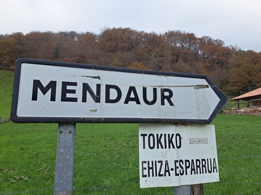 Mendaur: un regalo para la vista