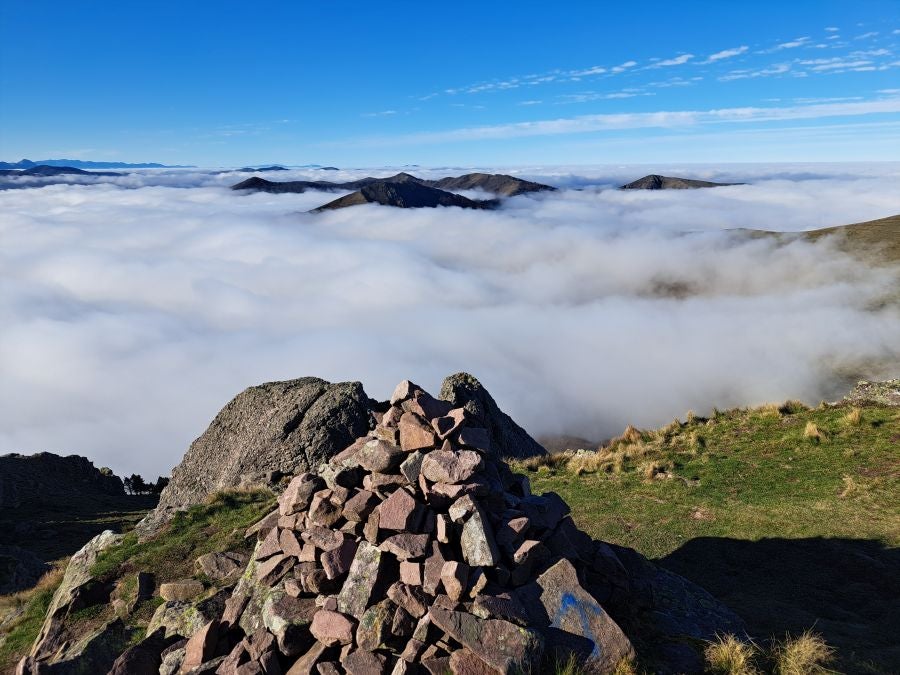 Mendaur: un regalo para la vista