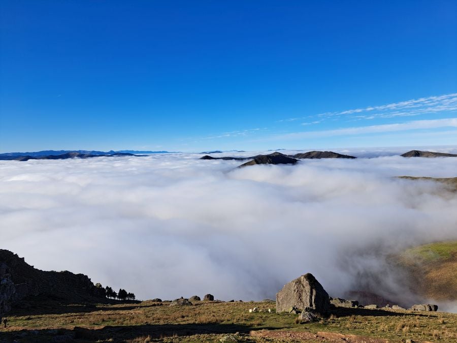 Mendaur: un regalo para la vista