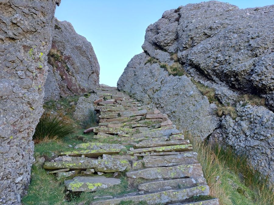 Mendaur: un regalo para la vista