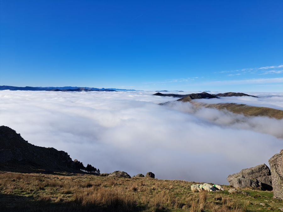 Mendaur: un regalo para la vista