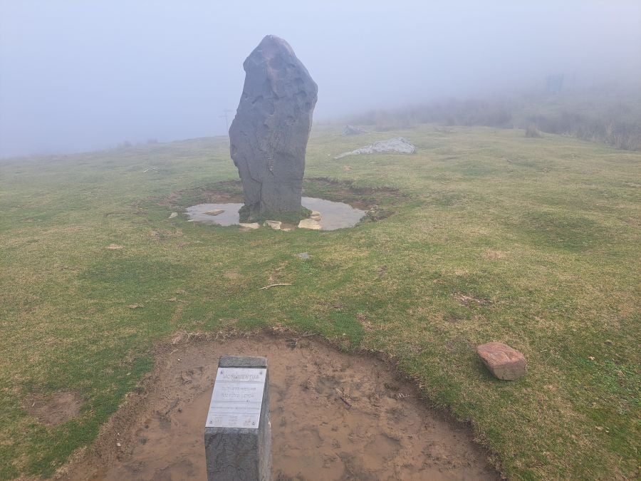 Mendaur: un regalo para la vista