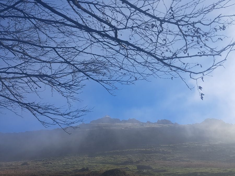 Mendaur: un regalo para la vista