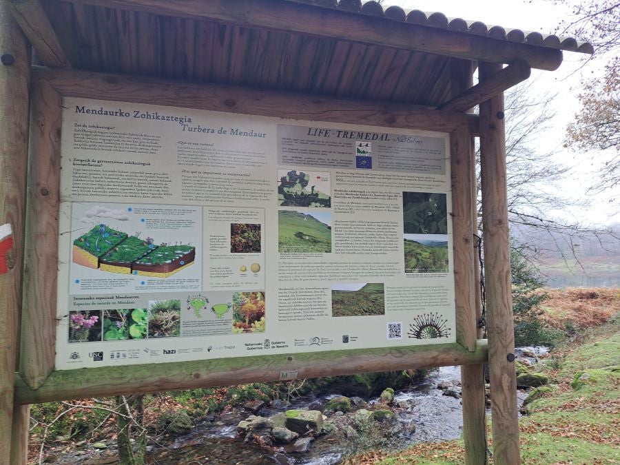 Mendaur: un regalo para la vista