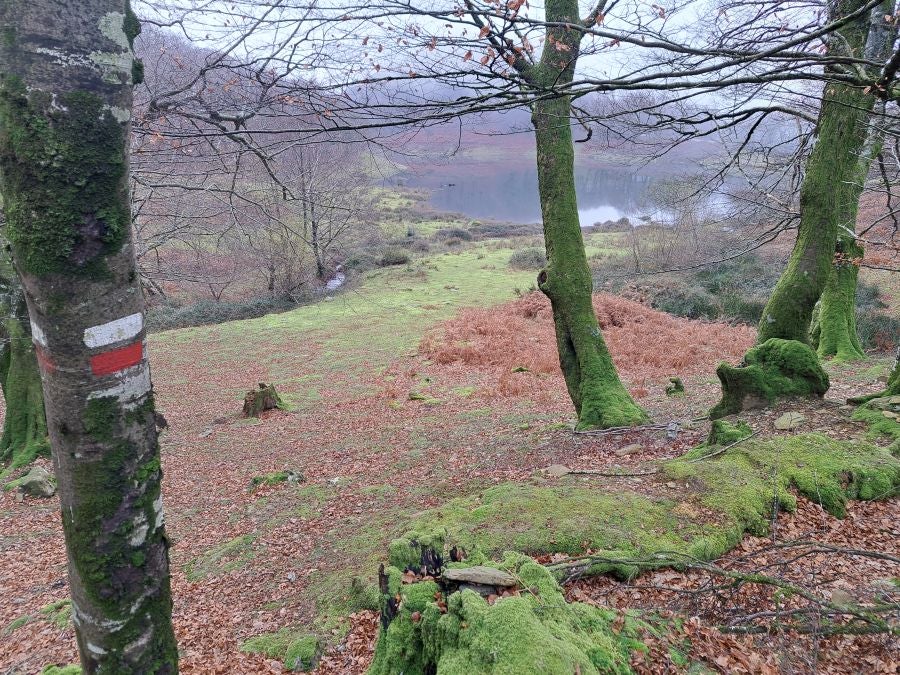 Mendaur: un regalo para la vista