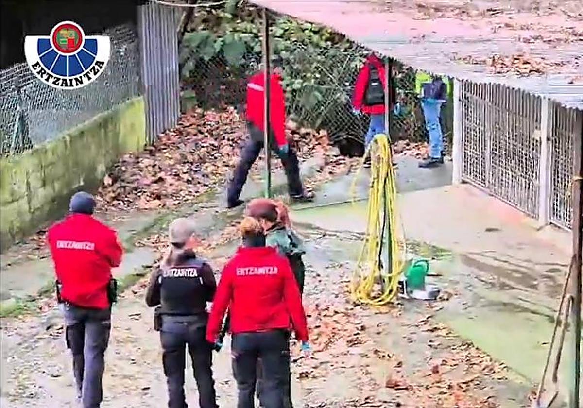 Investigan un albergue animal de Hondarribia por presuntos maltratos