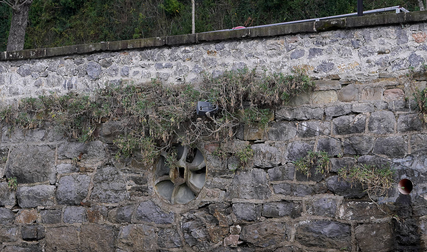 Fotos: Paseos solidarios por el Urumea