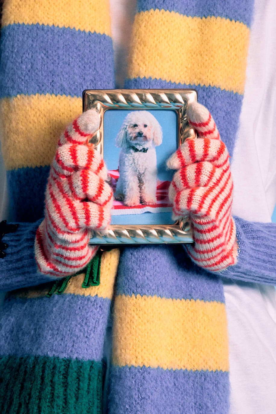 Fotos: Bimba y Lola presenta una nueva y novedosa colección canina