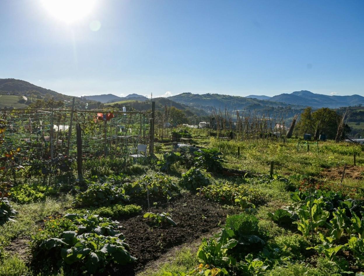 El propósito de los cursos es poner en valor los productos de la zona.