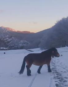 Imagen secundaria 2 - El tiempo en Euskadi: Caen los primeros copos en Gipuzkoa