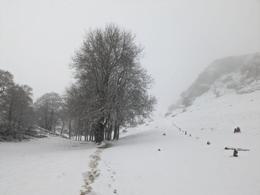 Fotos: Jornada gris y lluviosa