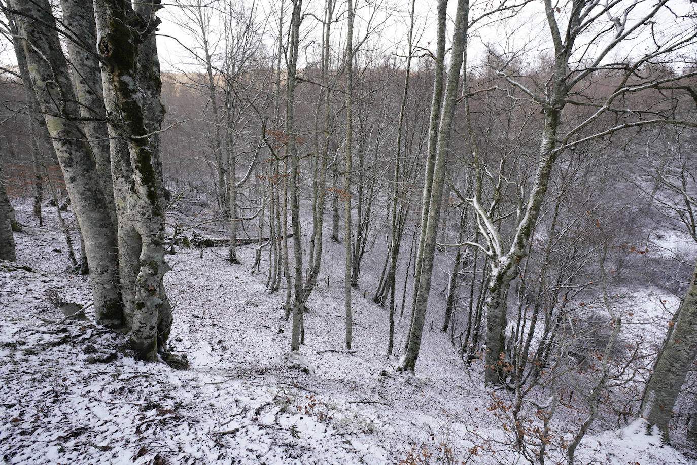 Fotos: La nieve llega a Gipuzkoa
