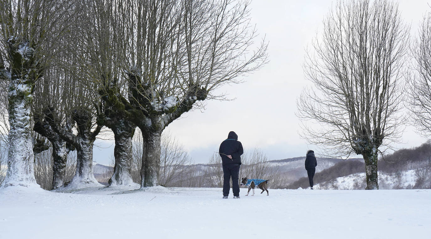 Fotos: La nieve llega a Gipuzkoa