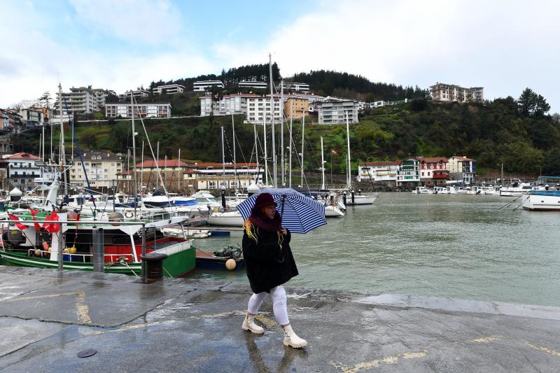 Puerto de Mutriku esta mañana