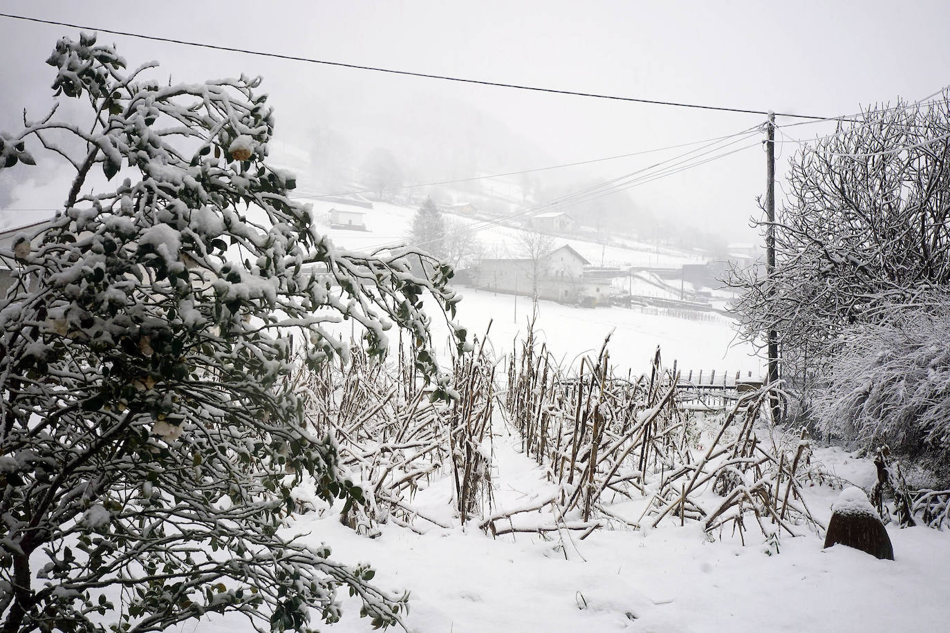 Fotos: Berastegi, bajo un manto de nieve