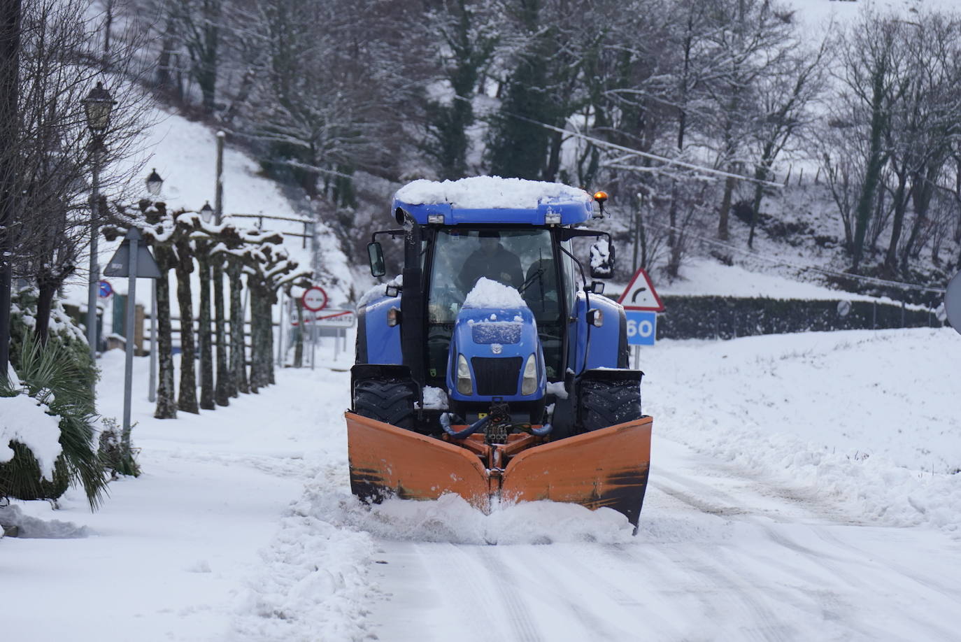 Fotos: Bidania se tiñe de blanco