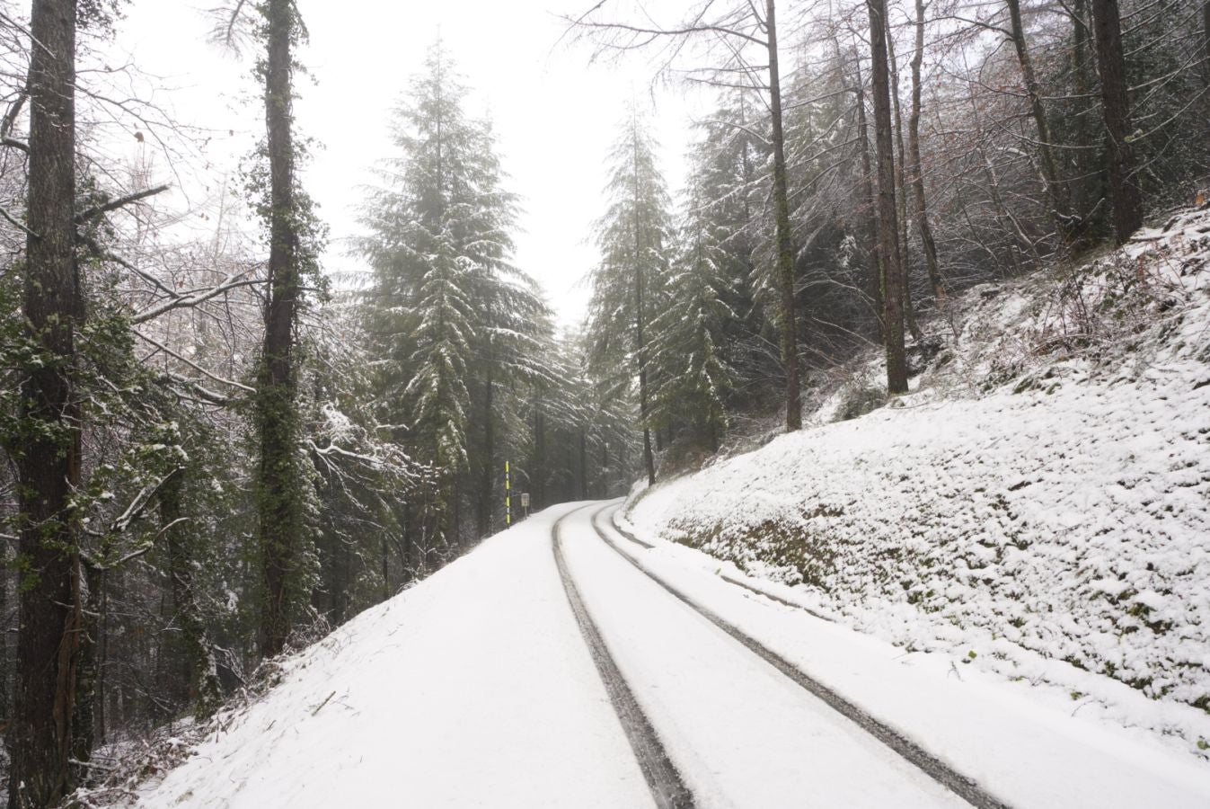Fotos: Albiztur, zurituta
