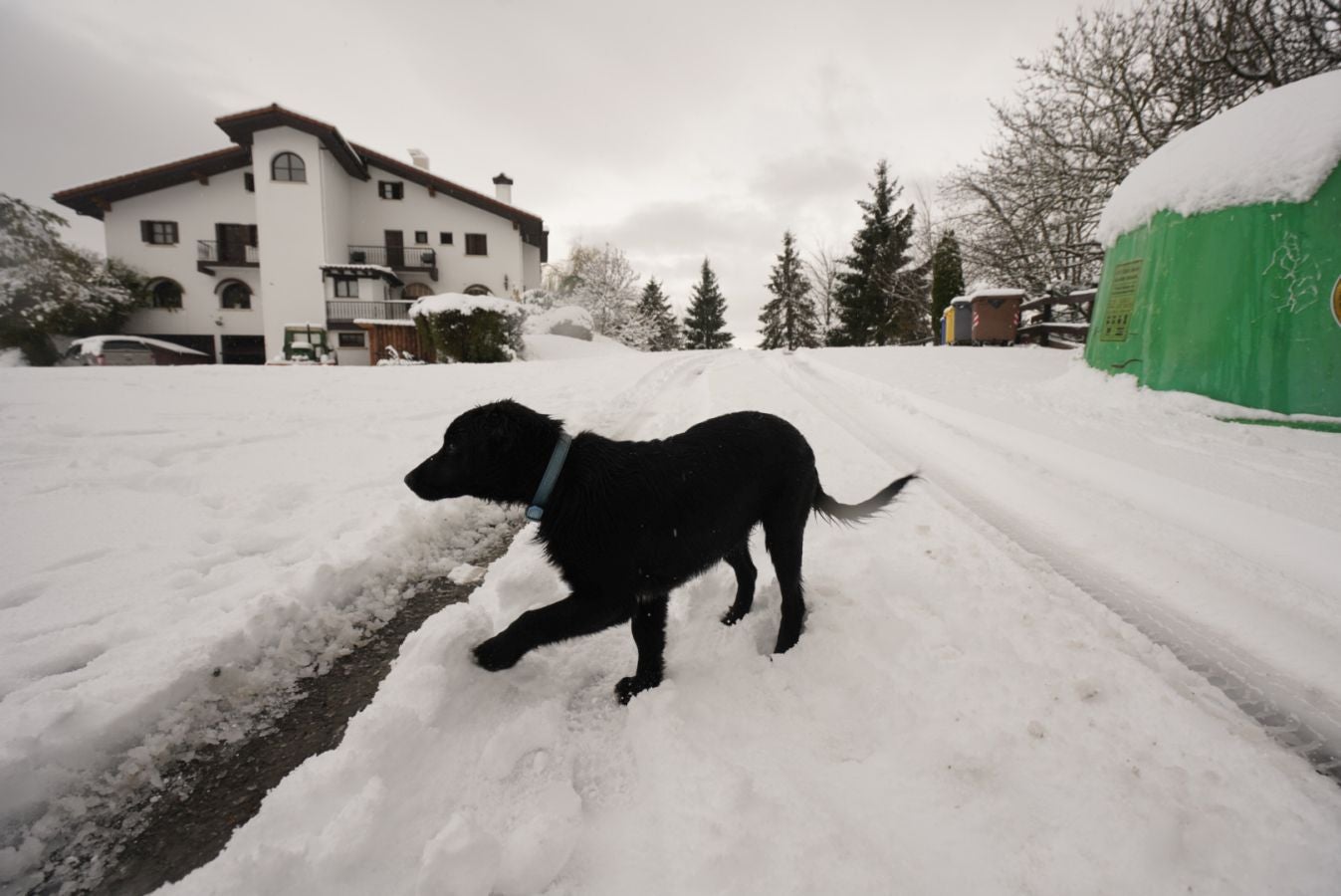 Fotos: Albiztur, zurituta