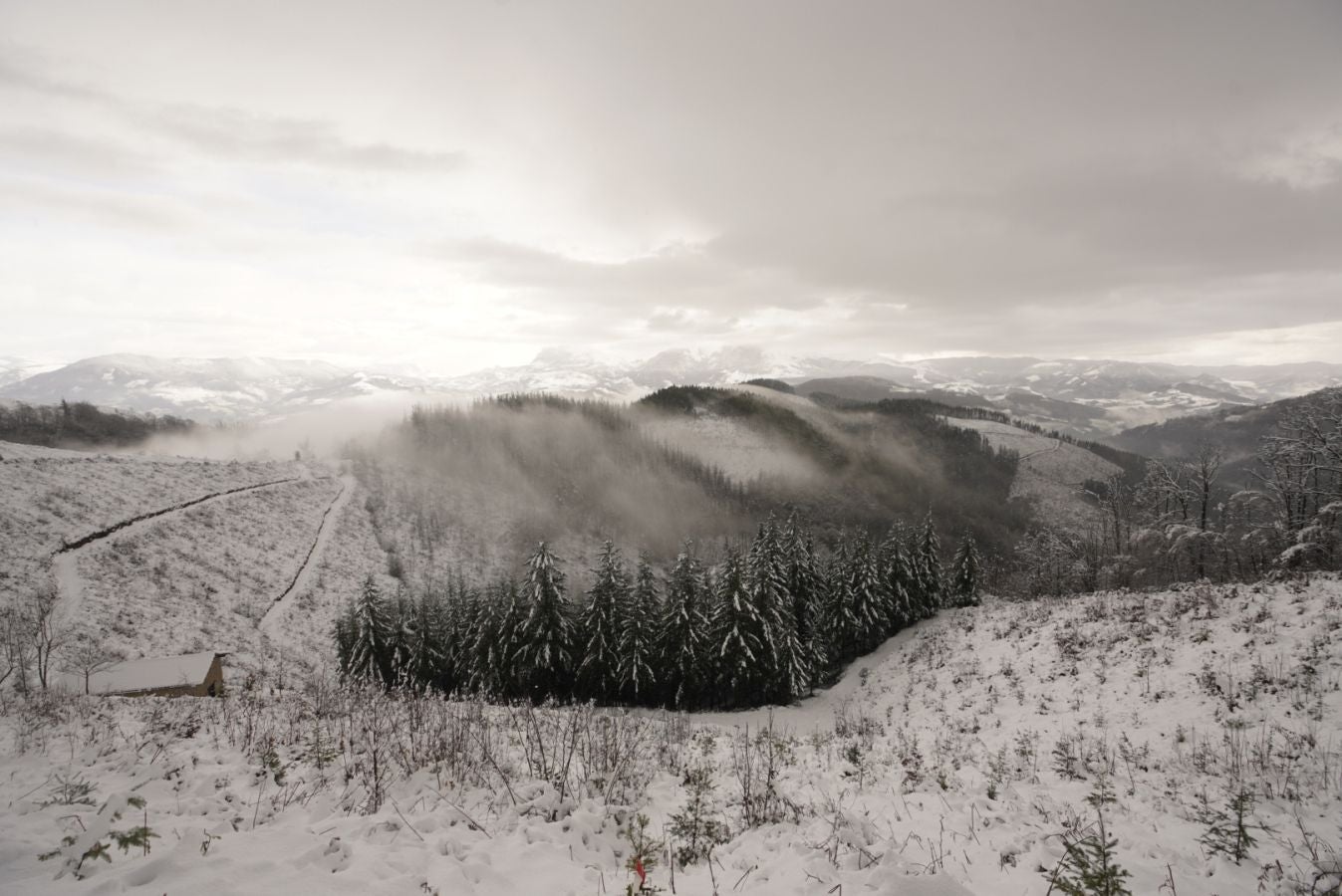 Fotos: Albiztur, zurituta