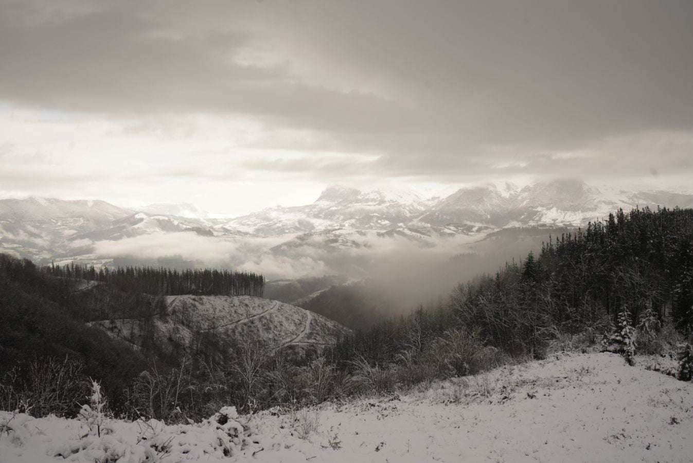 Fotos: Albiztur, zurituta