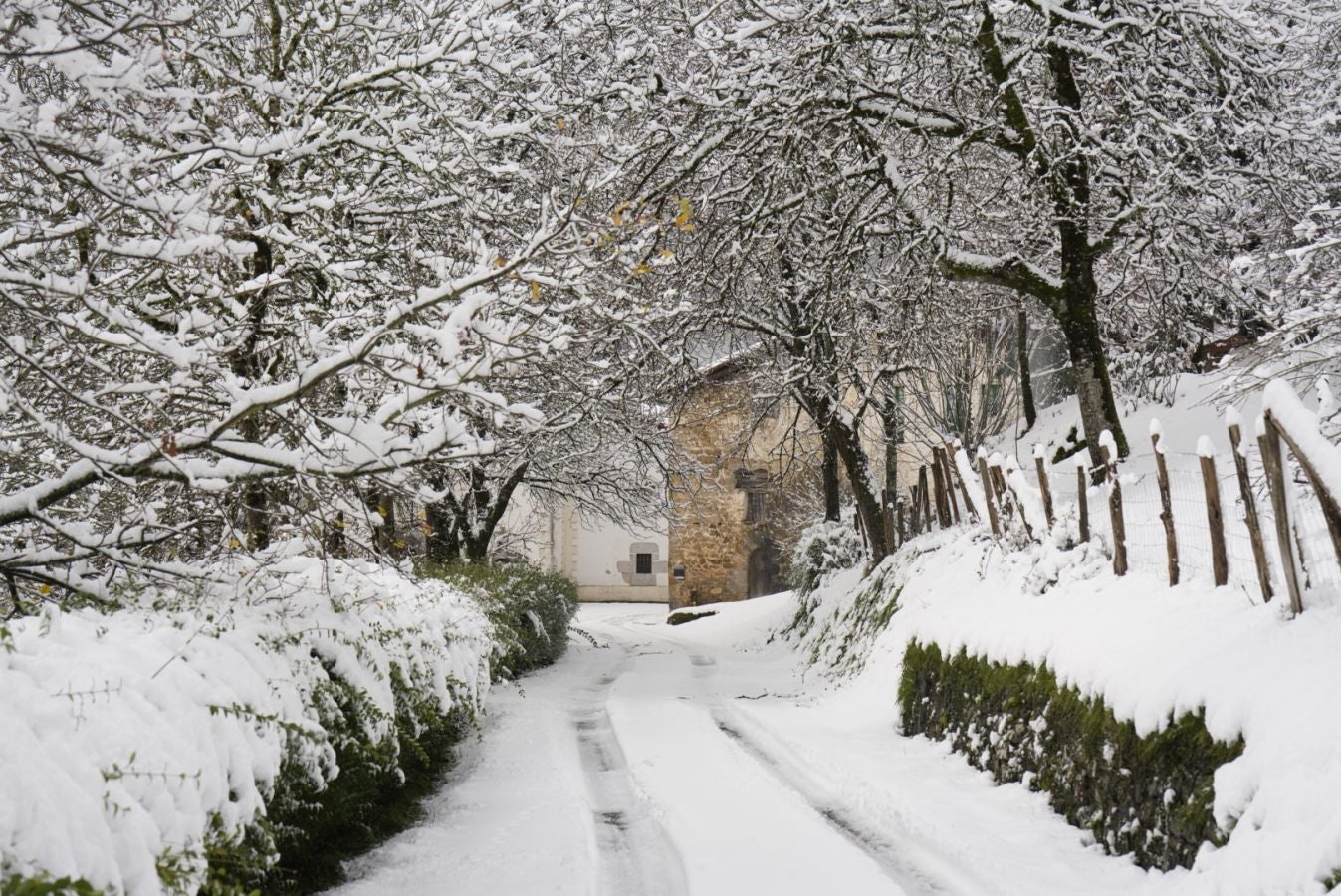 Fotos: Albiztur, zurituta