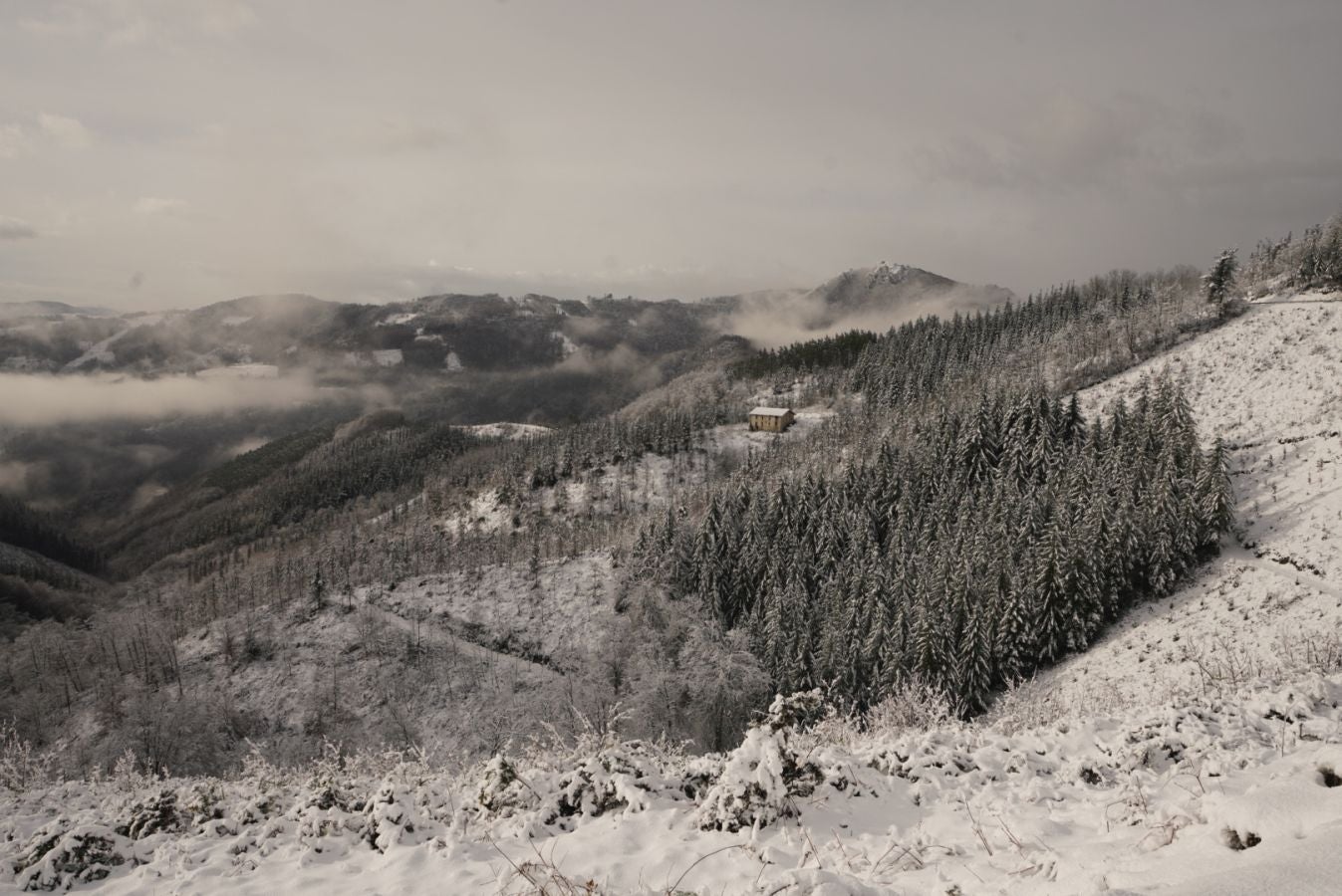 Fotos: Albiztur, zurituta