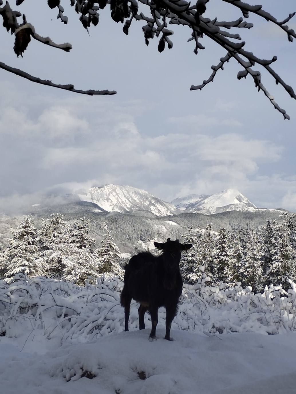 Paisaje nevado en Leintz Gatzaga. 