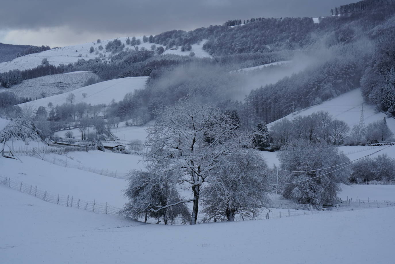 Intensa nevada en Berastegi. 