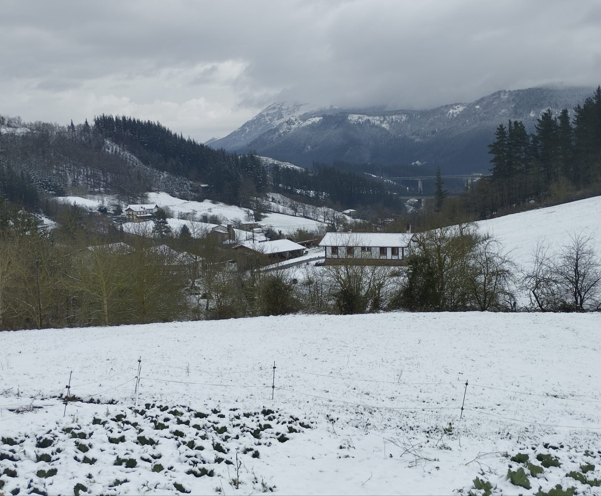 La nieve ha cubierto el interior de Gipuzkoa. 