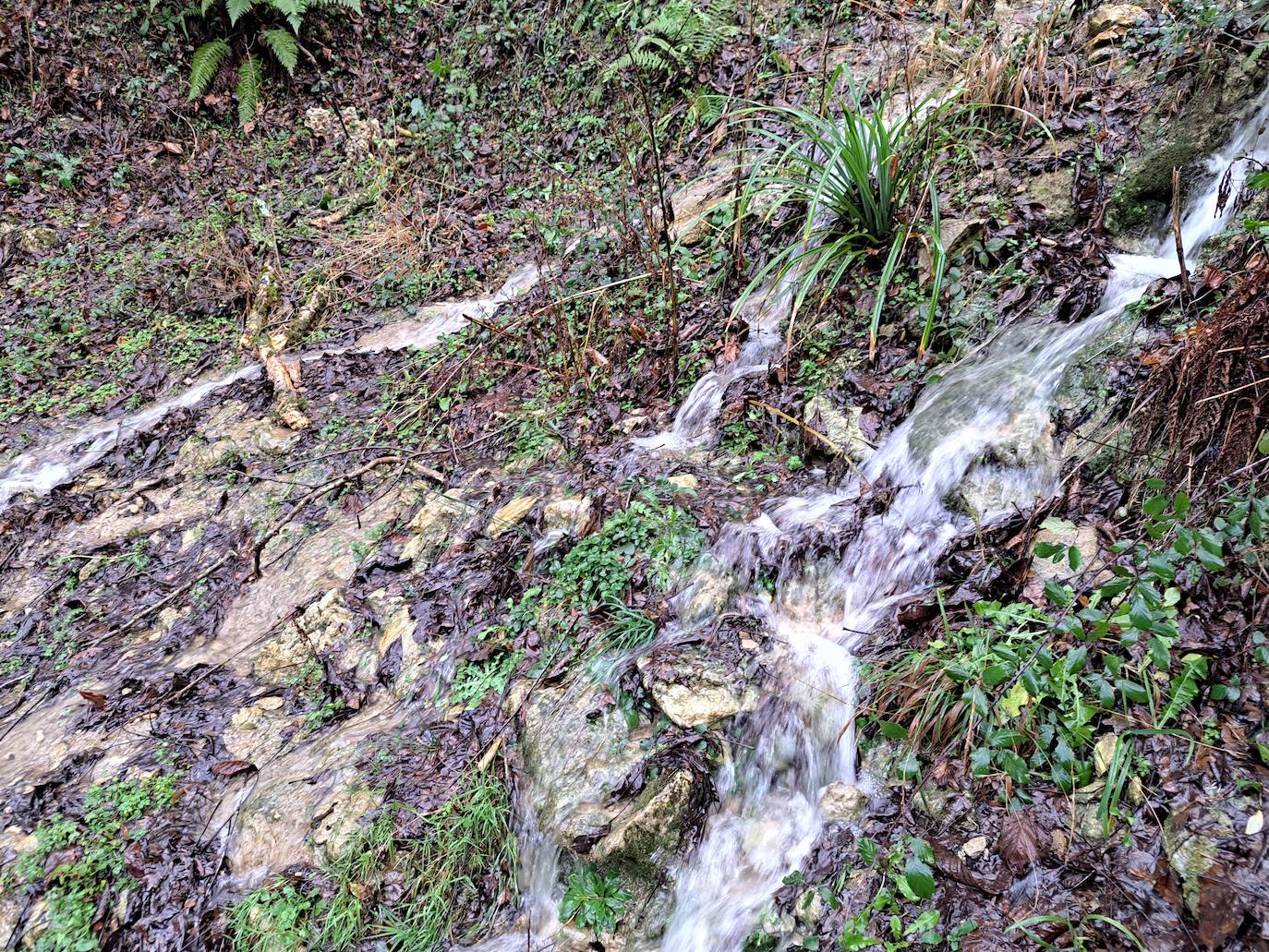 Fotos: Ixkier, el agua marca el ritmo de Larraun