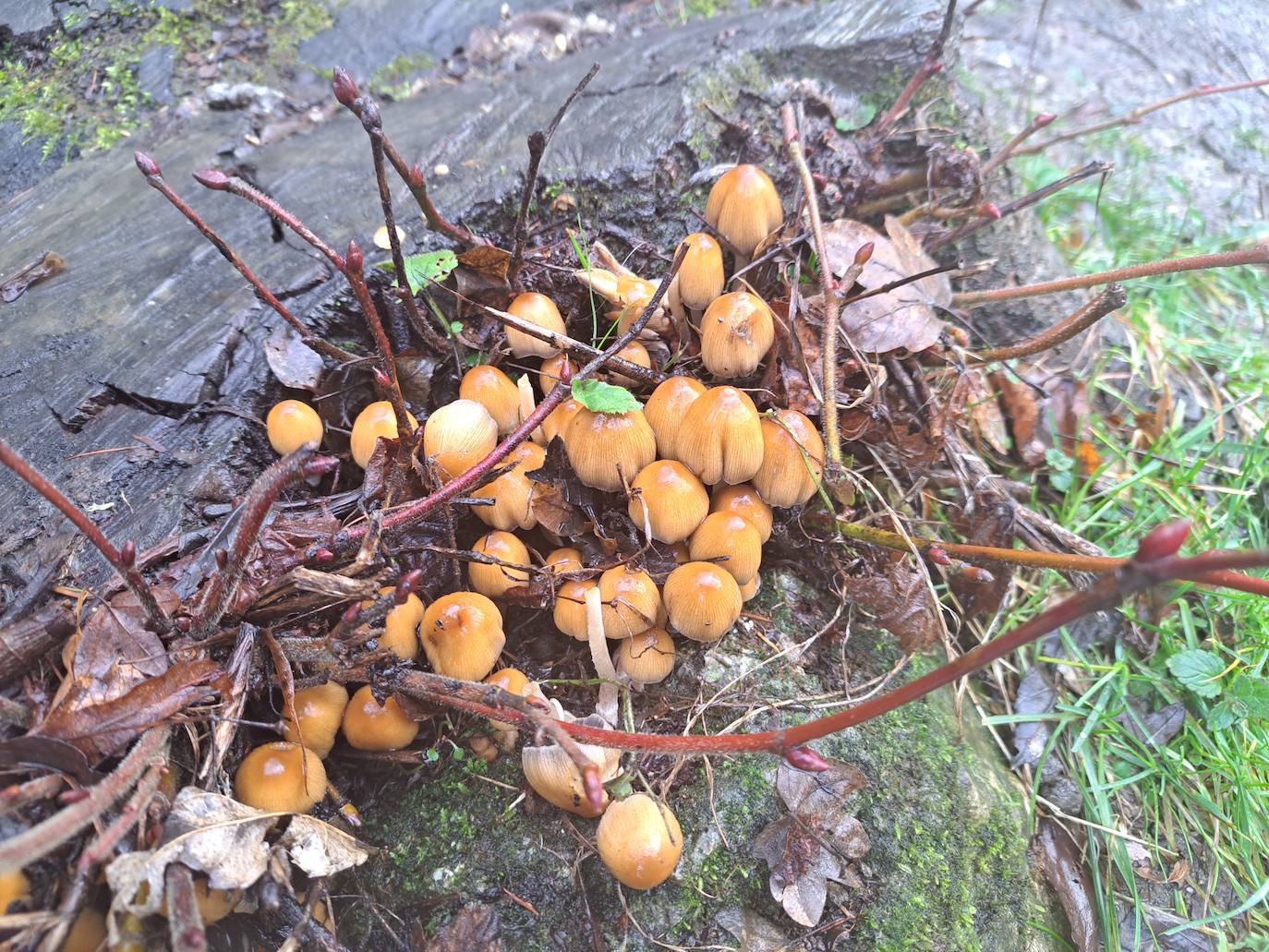 Fotos: Ixkier, el agua marca el ritmo de Larraun